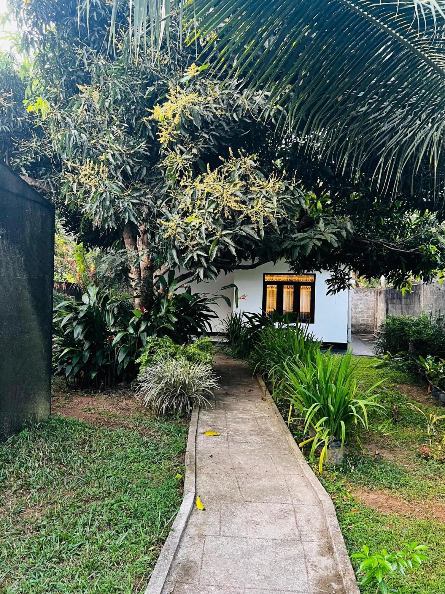 Villa The Mango Retreat Mirissa Exterior foto