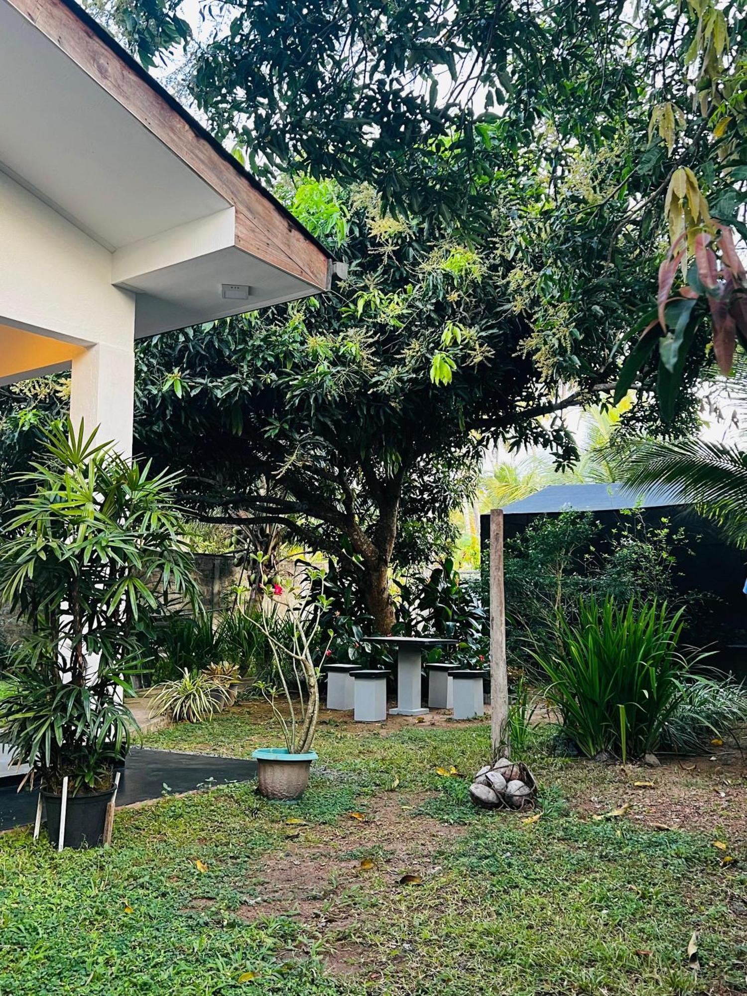 Villa The Mango Retreat Mirissa Exterior foto